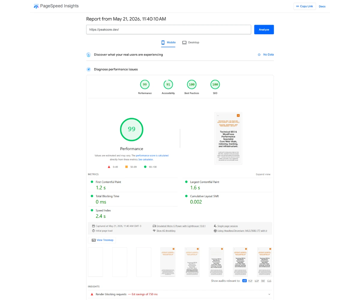 Google PageSpeed Insights mobile report for the previous WordPress version showing a performance score of 99, accessibility 91, and LCP of 1.6 seconds